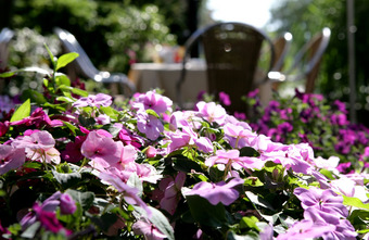 Gartenterrasse vom BEST WESTERN Hotel Der Föhrenhof in Hannover