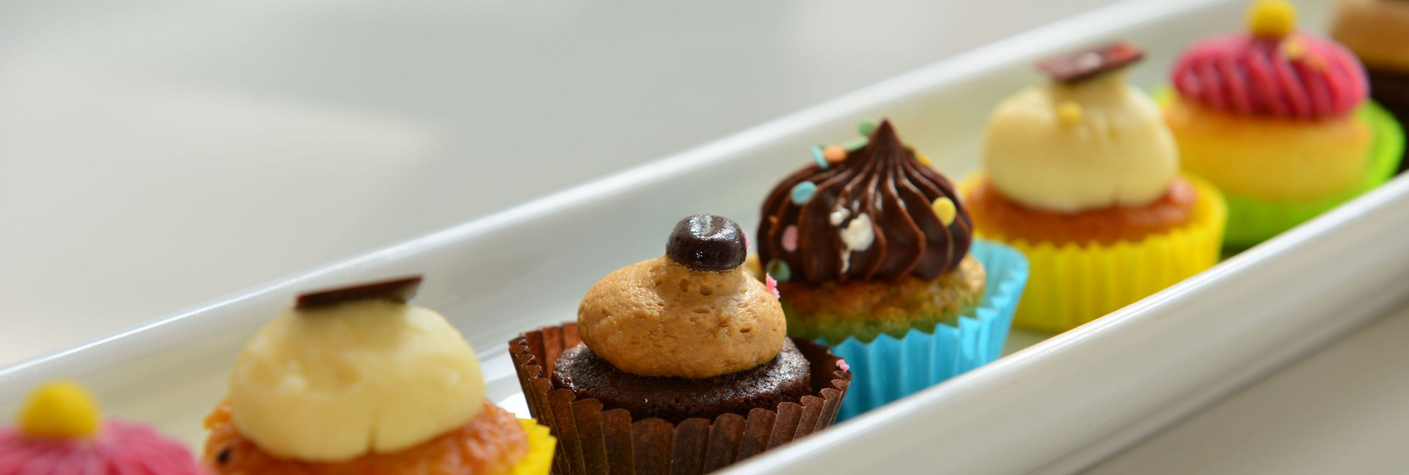 Bunte Mini-Cupcakes mit Schoko- und Frucht-Toppings in einer weißen Servierform