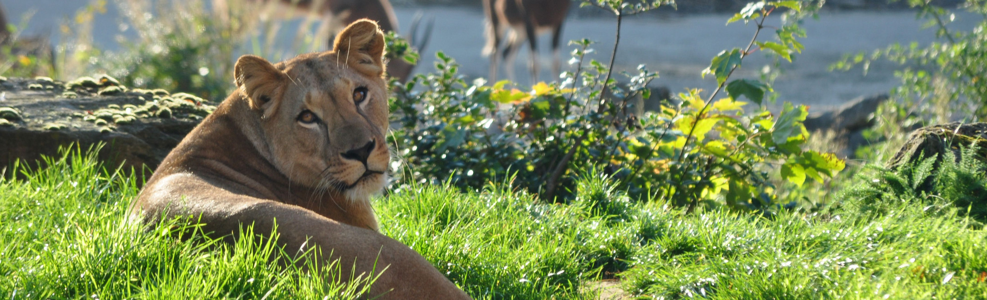 Erlebniszoo in Hannover