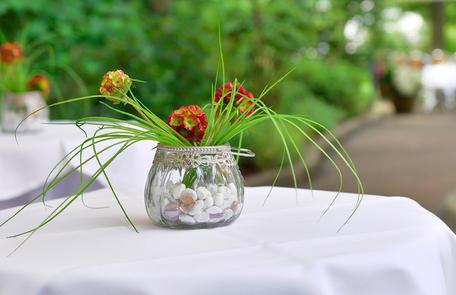 Gartenlandschaft im Hotel Der Föhrenhof in Hannove